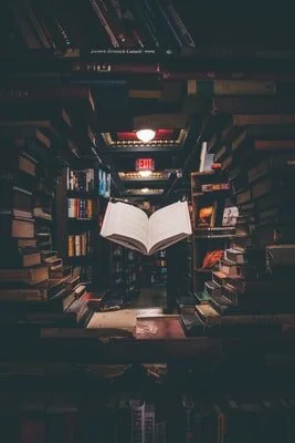 CHB 2.2: Literature Review